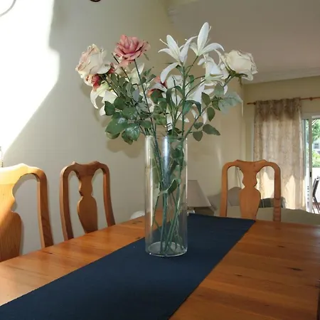 Apartment Duplex Penthouse Cabopino *